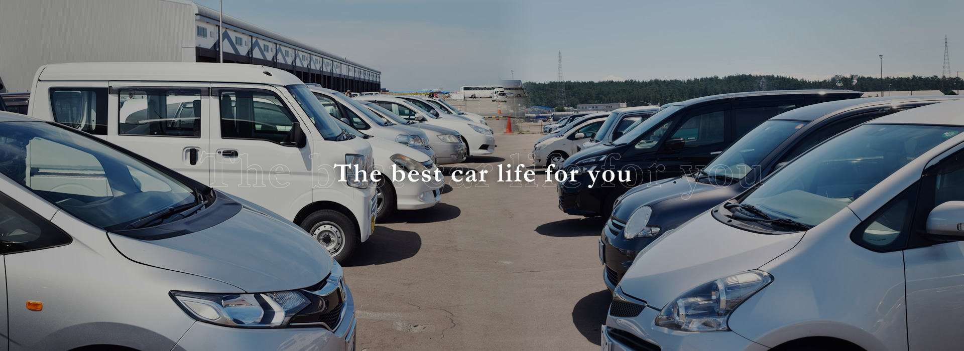 The best car life for you